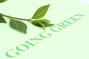 Eco-friendly businesses going green