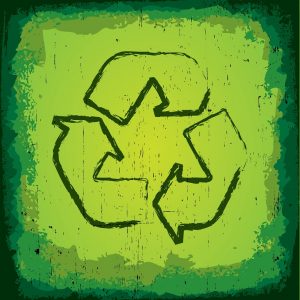 create a school recycling program with students