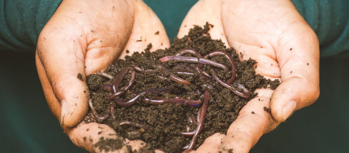 Reuse garden waste to create potent compost.