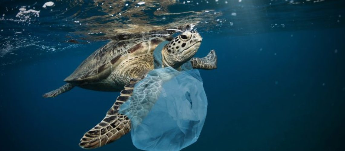 How Waste Management Helps Preserve Nature